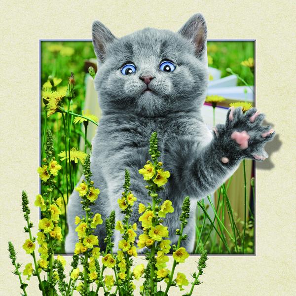 Custom Lenticular Image Printing For Gift , 5d Animal Collage Poster 15.7x15.7 Inches