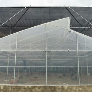 Multi Span Tunnel Plastic Tomato Greenhouse Stable Structure Prefabricated Multi
