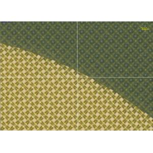 Cheap Textile Computer To Screen Exposing Machine for sale