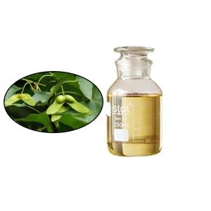 China Cold Pressed Organic Maple Seed Extract Healthy Edible Oil on sale