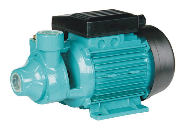 Quality 0.5hp 220v 50hz Single Phase Electric Motor Water Pump With Avoid Impeller Jam Function wholesale