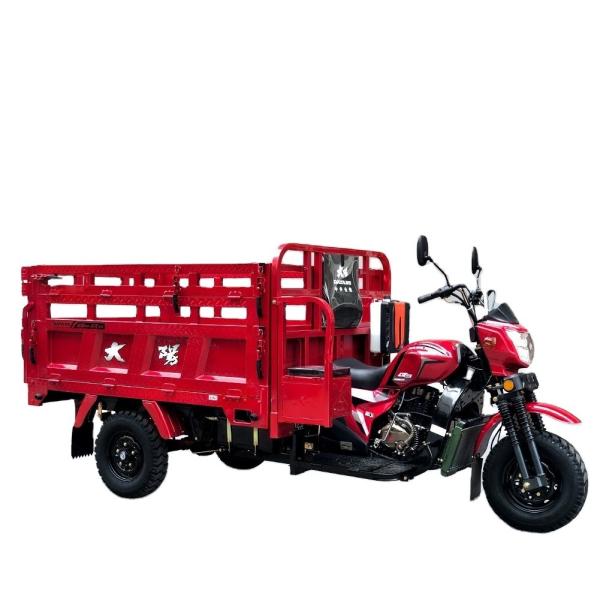 Quality Tuk Tuk Chassis 250cc Zongshen Engine Hot Gasoline Cargo Tricycle for 5.0 Inch 70 Km/h wholesale