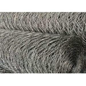 Iron 1in Galvanized Chicken Wire Mesh Roll Poultry Netting 30m