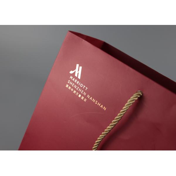 Multi Color Gift Shopping Bags Pantone CMYK Printing With PP Rope Handles