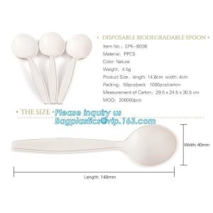 factory direct biodegradable corn starch 5 inch dessert spoon,food grade disposable biodegradable corn starch spoon pac