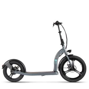Front 20inch Rear 16inch Adults Electric Scooter 250w 36v Lithitum Battery