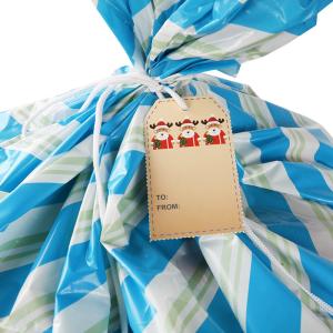 Gravure Printing LDPE Plastic Large Bike Bag 36x56" With String Tie