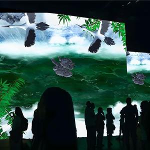 Northern Lights 3d Wall Interactive Games Holographic Immersive Projection
