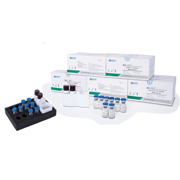 Kidney Function Calibrator NGAL β2-MG Cys-C RBP H-ALB Reagent Item Six-points
