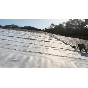 Smooth HDPE Geomembrane Defect-free Homogeneous Barrier Solution Long-term