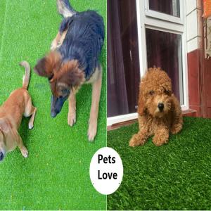 Factory Customized Lawn Decorative Grass Wall Turf Grass Garden Artificial Turf