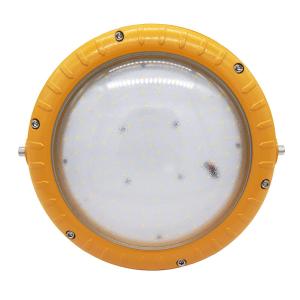 Customized Explosion Proof LED Lamp Anti Corrosion Grade WF2 2700K - 6500K