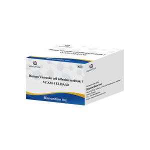 China VCAM1 CD106 ELISA RUO Test Kit For Human Vascular Cell Adhesion Molecule 1 on sale