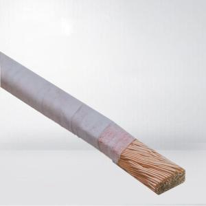 Continuously Transposed Paper Insulated Copper Wire High Frequency Copper Litz