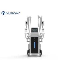 Cheap -15oC low degeree 4 handles Factory price body slimming cryoliplysis weight loss machine for sale