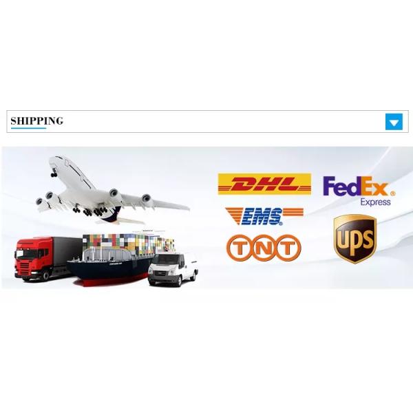 Gold Rhino 285K 8.9x12cm 0.6mm PET Single Hole 3d Cards