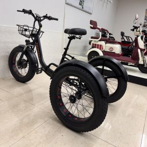 ​Lithium Battery Powered Semi Open Leisure 3 Wheeler Electric Bike Long Range