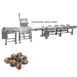 Cheap Industry Automatic Weight Sorting Machine for sale
