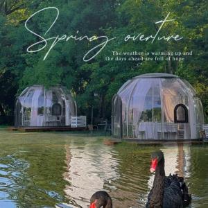 Soundproof Dome Tents Transparent Winter Hotel Dome Geodesic Igloo PC Dome Tent