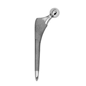 Cemented Artificial Joints Collarless Hip Stem Implantable Artificial Organs