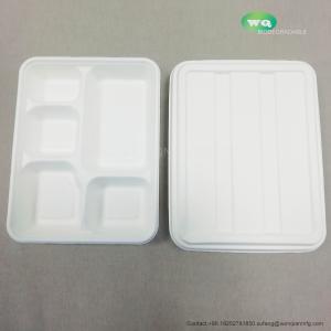 5-Coms Sugarcane Pulp Plate With Lid  Natural-Pulp Biodegradable Products Microwavable And Safe For Hot And Cold Foods