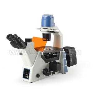 Cheap Laboratory Inverted Microscope for sale