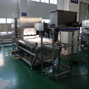 Customized Color Sorter Machine with Advanced AI dehydrated vegetables Sorting