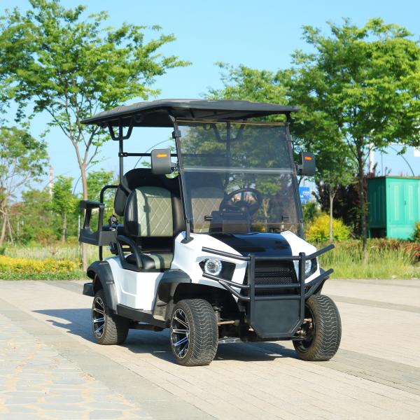 High End Luxury Electric Golf Cart With Customizable Colors For Beach Snow