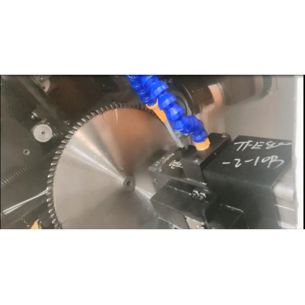 Quality Torsel Full Automatic Circular Saw Blade Sharpening Equipment wholesale