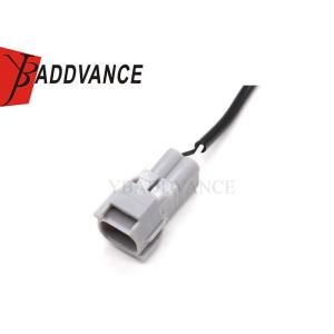 Custom Automotive Grey 2 Pin Male Connector Waterproof Wire Harness For Car