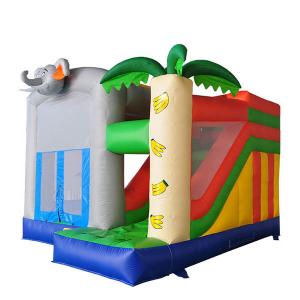 Cheap Small Bouncy Castle With Slide PVC Material Digital Printed Waterproof for sale