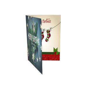 Ic Voice PCBA Recording Recordable Greeting Card Sound Chips For Festivel