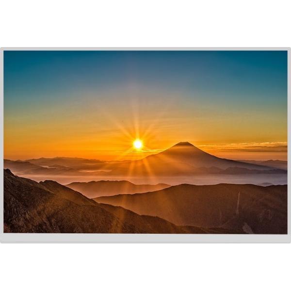 Quality 10.1" IPS TFT LCD Display 1000cd/M2 1280x800 Lvds 40 Pin LCD Display High Brightness wholesale