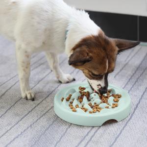 Trendy Slow Feed Pet Bowls - Aligning with Current Market Demands