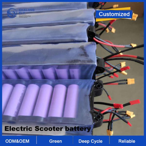 OEM ODM LiFePO4 lithium battery pack Electric Scooter battery China Manufacturer