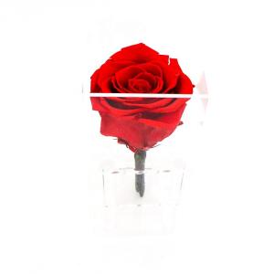 Decorative Beautiful Preserved Rose Flower With No Pollen / No Allergy