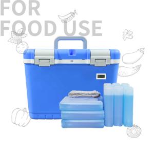 Phefon 10L Medical Cooler Box Temperature Display Support OEM