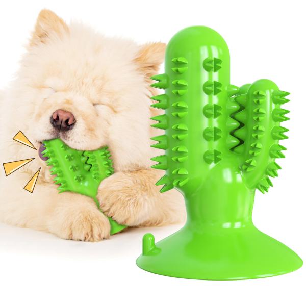 Quality Cactus Dog Teeth Cleaning Chew Toy Squeaky Rubber Relieve Anxiety TPR OEM wholesale