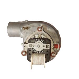 L1PB40-A(F4) 40Kw Heating Bathing Gas Boiler Wall Mounted Stainless Steel Shell