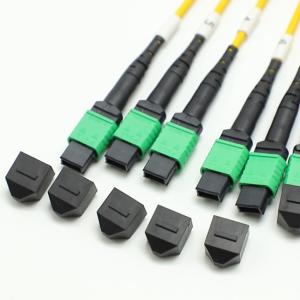 144F MTP MPO Fanout Cable SMG657A1 MPO APC to MPO APC Breakout Fiber Optic Patch