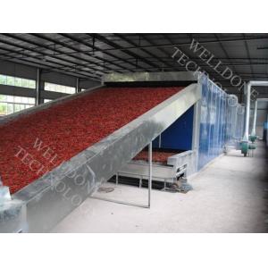 DWF Series Conveyor Belt Dryer large capacity high efficiency