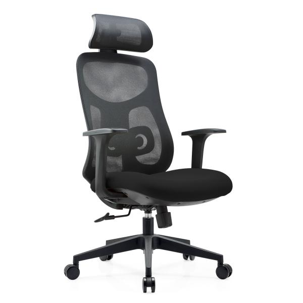 Modern and Functional Bow Mesh Ergonomic Chair for Office Spaces Style Computer