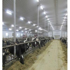 LED vapor tight for Commercial and Industrial High Lamp Luminous Efficiency lm/w