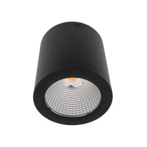 IP44 Ceiling Mounted Down Lights 1000lm Surface Mounted Cylinder Downlight