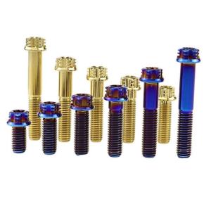 Titanium Alloy Micro Arc Anodizing Mao Self Drilling Self Tapping Screws