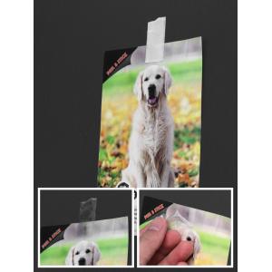 Self Adhesive Damage Free Removable Double Sided Tape No Residue