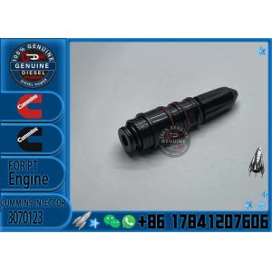 Professional Factory Supplied for Cummins NT855 Engine Injector 3070123 3054218