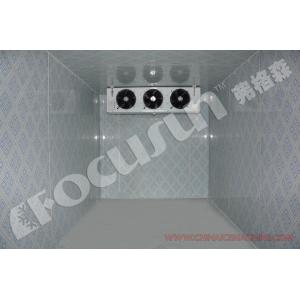 Provided Video outgoing-inspection Focusun Containerized Solar Powered Cold Room
