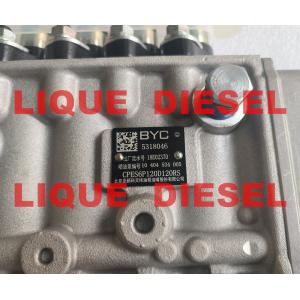 BYC pump 5318046 10 404 534 005 CPES6P120D120RS 10404534005