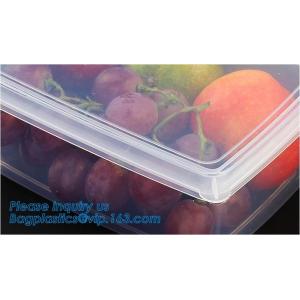 Glossy high quality acrylic storage box,Plastic Round Shape Clear Fresh Box,Food